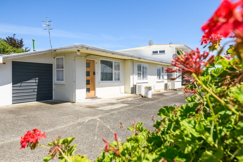 271B Grey Street, Palmerston North, Palmerston North - Carousel 1