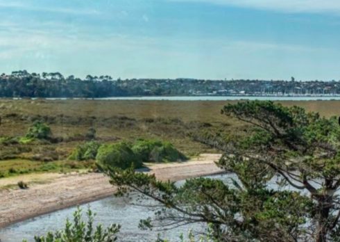Gill Avenue, Te Atatu Peninsula, Waitakere City, Auckland - Carousel 16
