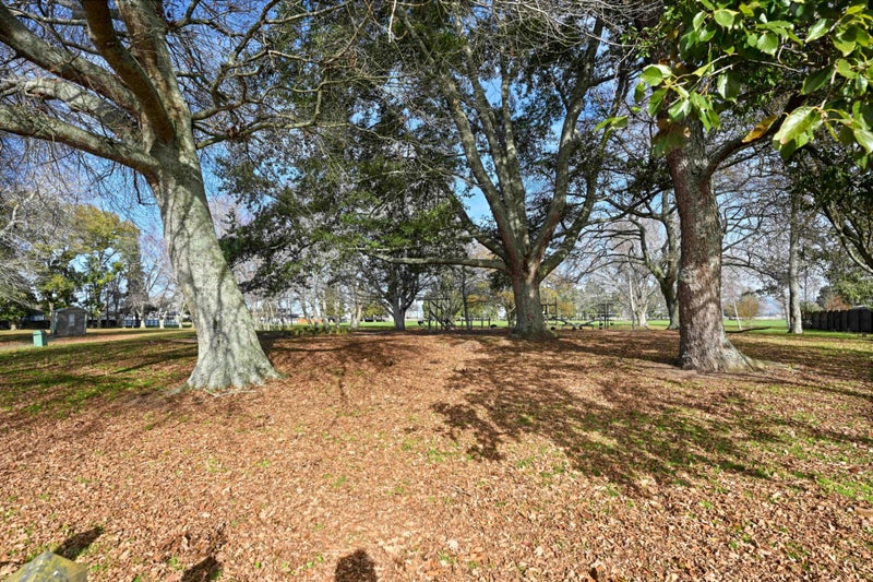 392 Kahikatea Drive, Dinsdale, Hamilton - Carousel 22