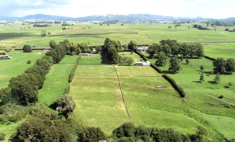 337 Kiwitahi Railway Road, Morrinsville, Morrinsville - Carousel 2
