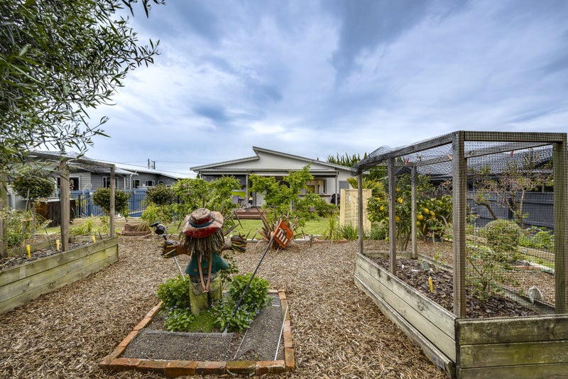31 Napier Street, Jervoistown, Napier - Carousel 21