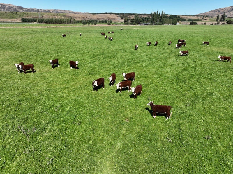 115 Gilmour Road, Roxburgh East, Roxburgh - Carousel 2