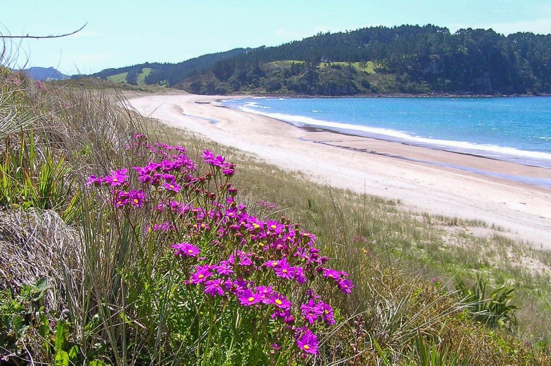 69 Pye Place, Hot Water Beach, Whitianga - Carousel 30