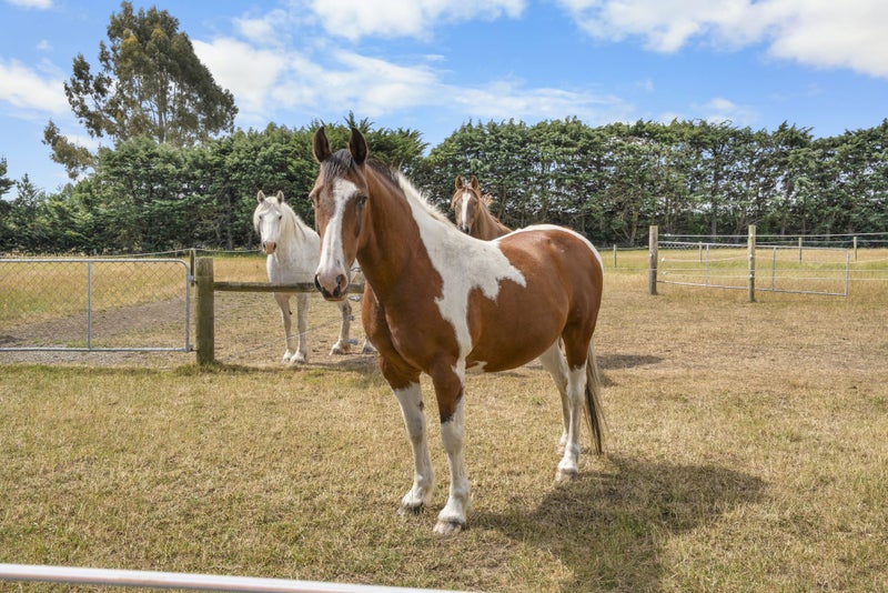 90 Neave Road, Christchurch - Carousel 42