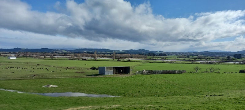 0 Main Road, Makaraka, Gisborne - Carousel 17