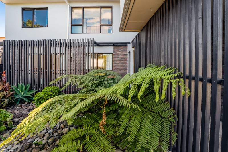 14A Melrose Street, Spotswood, New Plymouth - Carousel 2