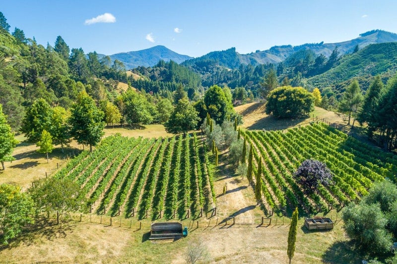 152 Teal Valley Road, Hira, Nelson - Carousel 2