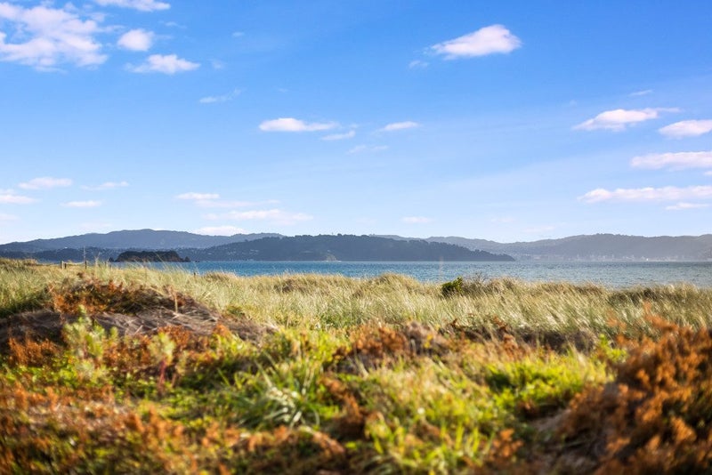 7 Marine Parade, Eastbourne, Lower Hutt - Carousel 23