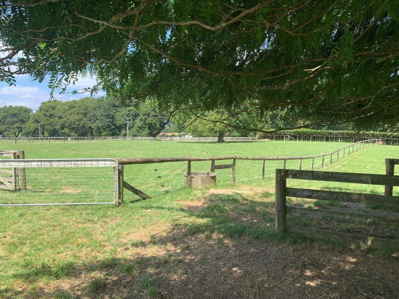 211 Tower Road, Matamata, Matamata - Carousel 27