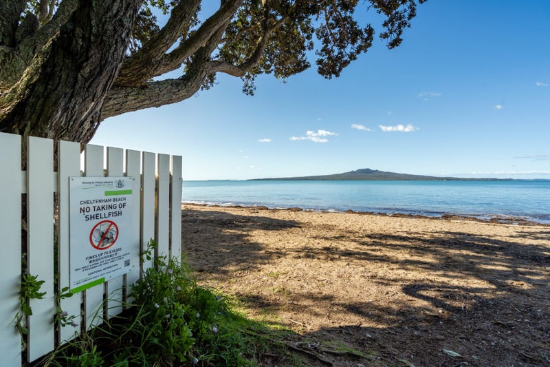 2 Grove Road, Narrow Neck, Auckland - Carousel 28