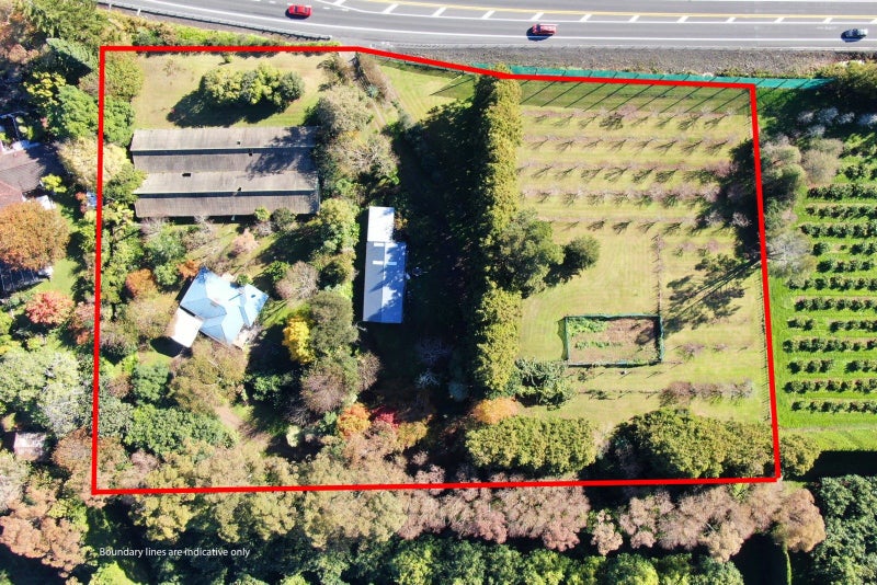 664 State Highway 2, Katikati, Western Bay Of Plenty, Bay Of Plenty - Carousel 1