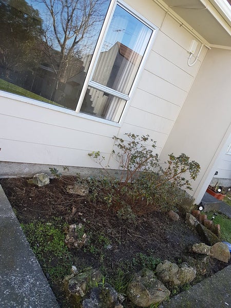 31E PHARAZYN ST, ALICETOWN, LOWER HUTT - Carousel 1