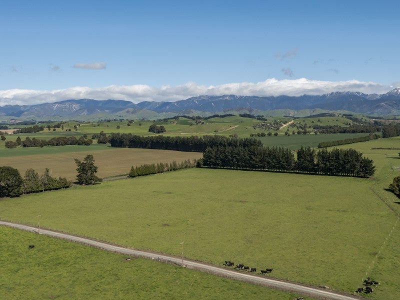 490 Tukituki Road, Ashley Clinton, Takapau - Carousel 2