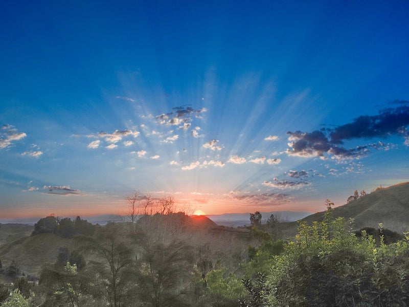 1377E Manawahe Road, Manawahe, Whakatane - Carousel 40