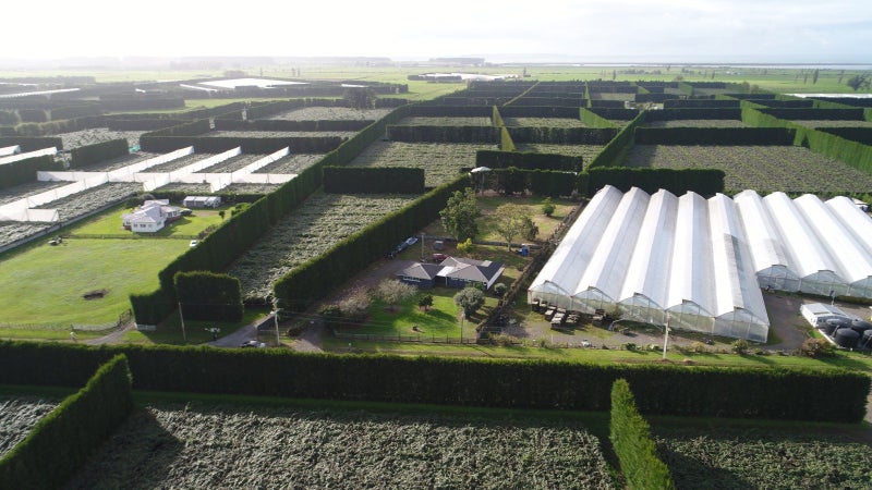 187 Kelly Road, Paengaroa, Te Puke - Carousel 32