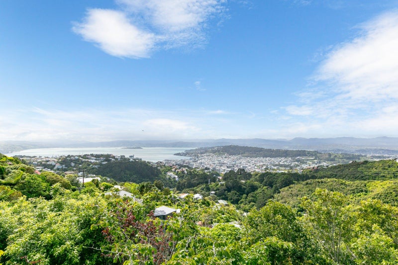 67 Highbury Road, Highbury, Wellington - Carousel 21