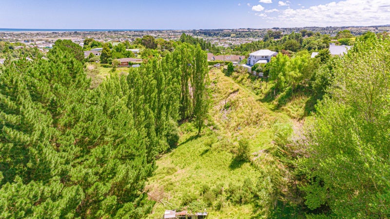 50 Shakespeare Road, Bastia Hill, Whanganui - Carousel 29
