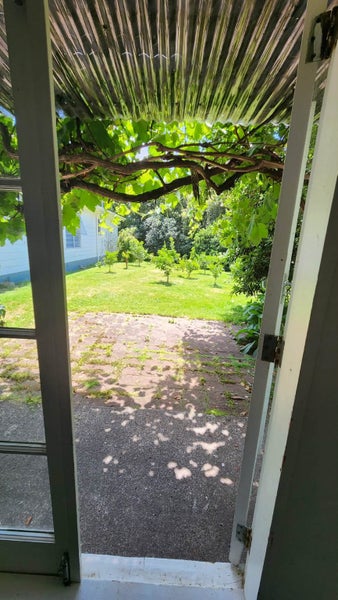 591 No 1 Road, Te Puke, Western Bay Of Plenty, Bay Of Plenty - Carousel 9