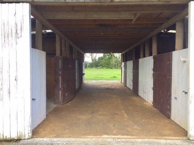 128 Appleby Road, Drury, Drury - Carousel 12