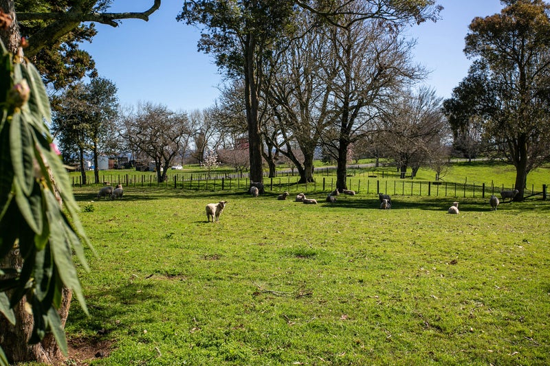 79 Bell Road, Ngahinapouri, Te Awamutu - Carousel 4