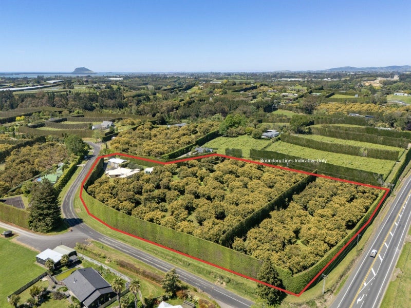 22 Gill Lane, Te Puna, Te Puna - Carousel 31