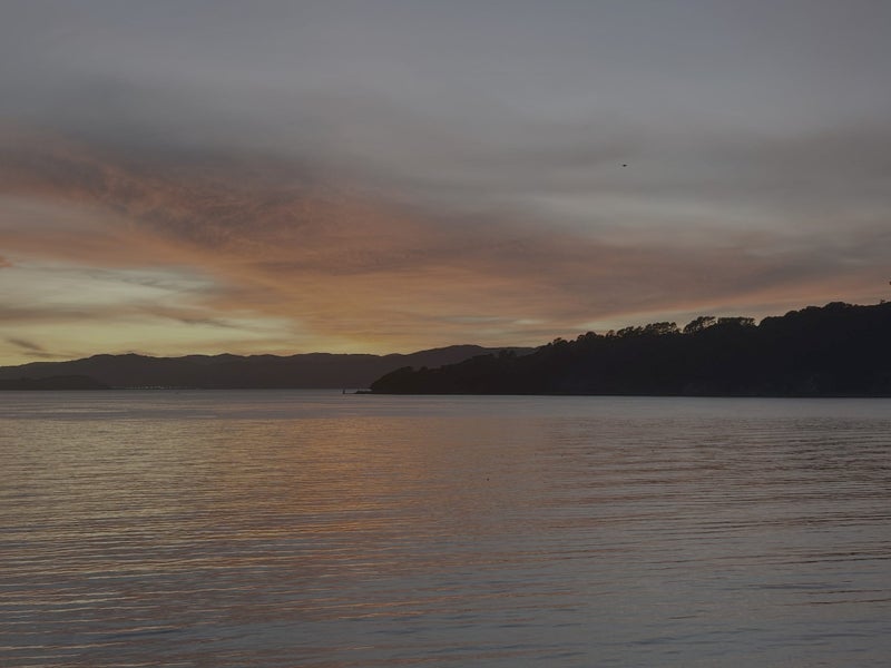 62 Evans Bay Parade, Roseneath, Wellington - Carousel 34