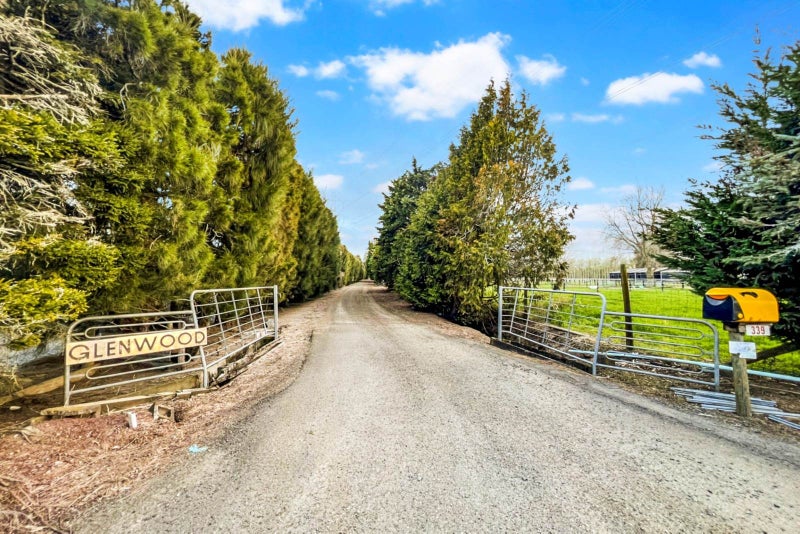 339 Hautapu Road, Cambridge - Carousel 33