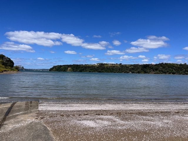 57 Clinton Road, Tawharanui Peninsula - Carousel 24