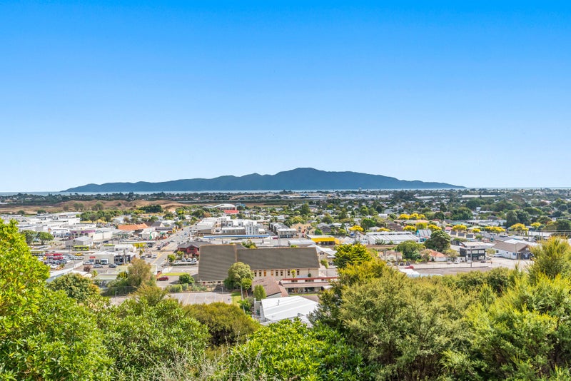 16 Tongariro Street, Paraparaumu, Paraparaumu - Carousel 2