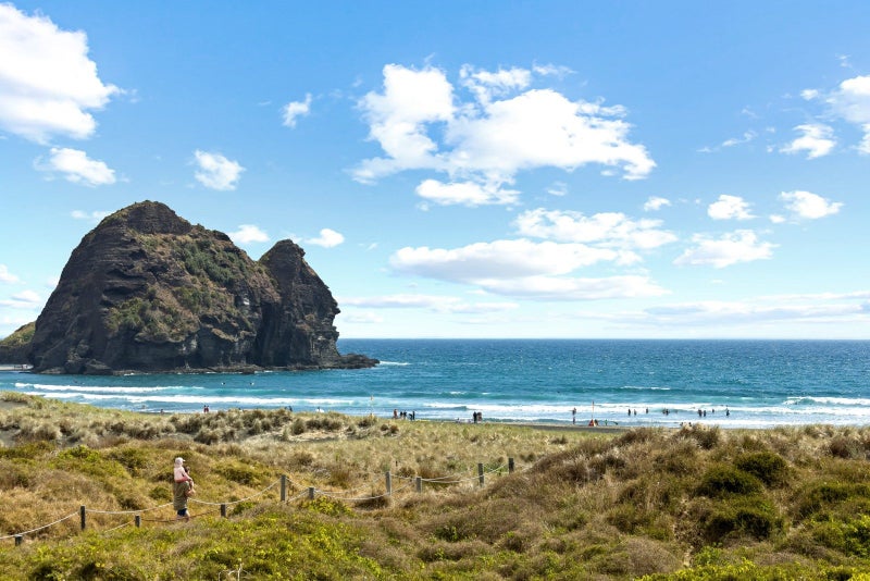 47 Marine Parade South, Piha - Carousel 1