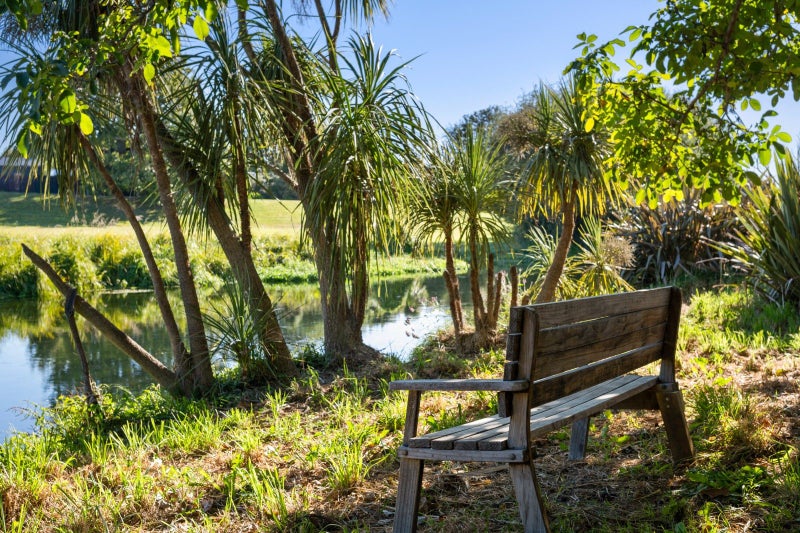 33 Park Terrace, Blenheim - Carousel 2