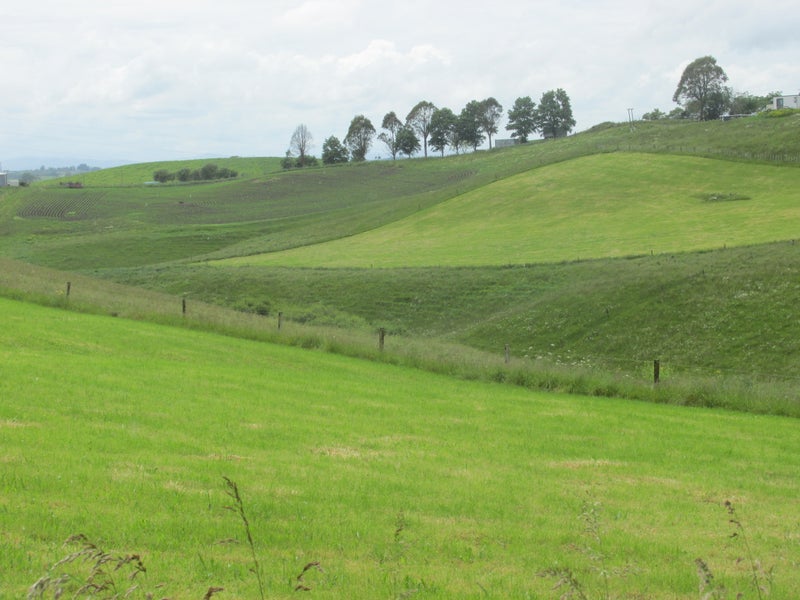 35 Grove Access Road, Karamu - Carousel 2