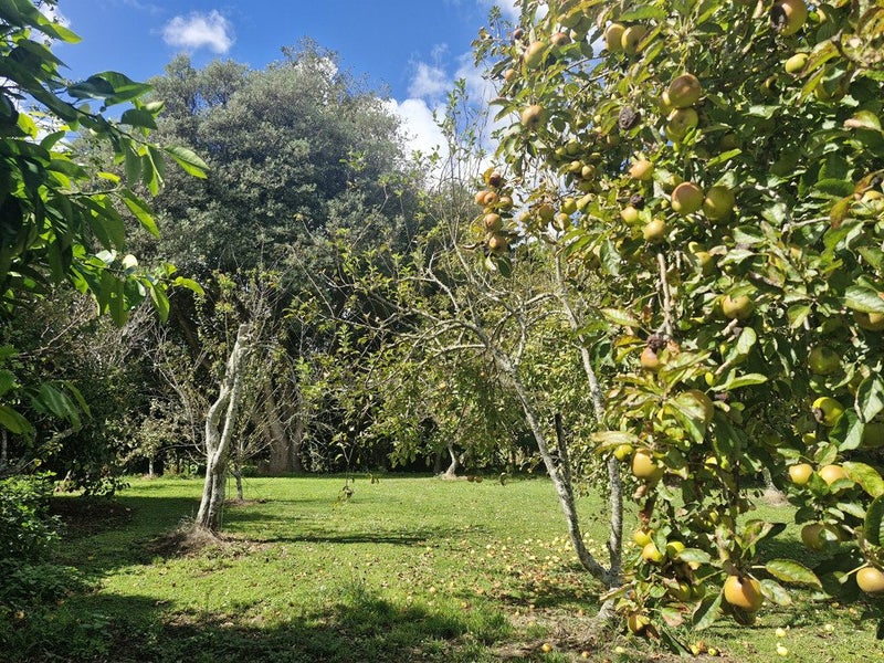 100 Conway Road, Eltham, Eltham - Carousel 50