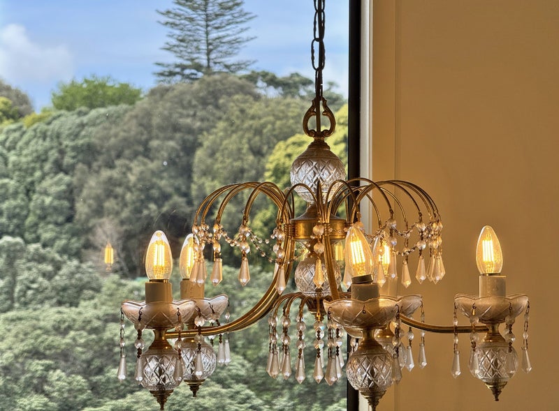 23C Hillsborough Road, Hillsborough, Auckland - Carousel 28