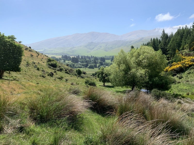 2059 Fairlie Tekapo  Rd, Burkes Pass, Fairlie - Carousel 2