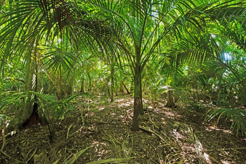 15 Catley Road, Otaki - Carousel 1