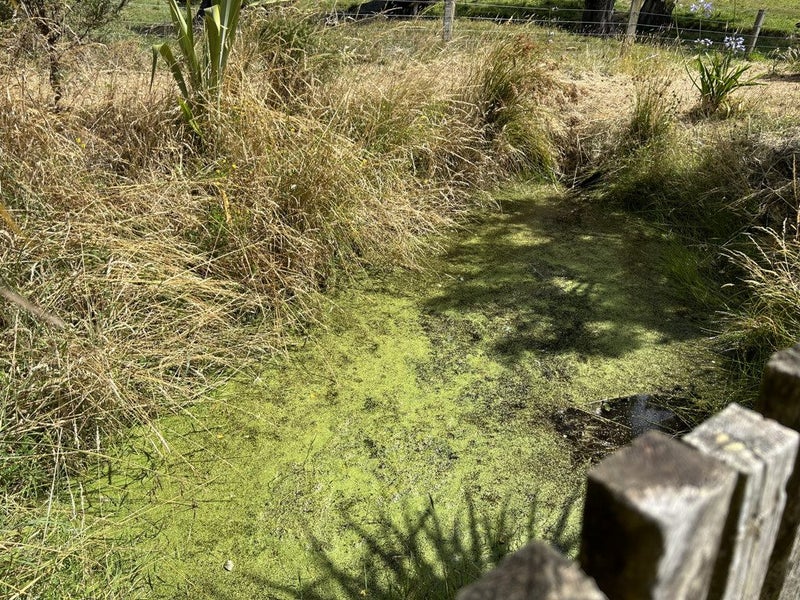 0 Castle Hill Rd, Alfredton, Eketahuna - Carousel 2