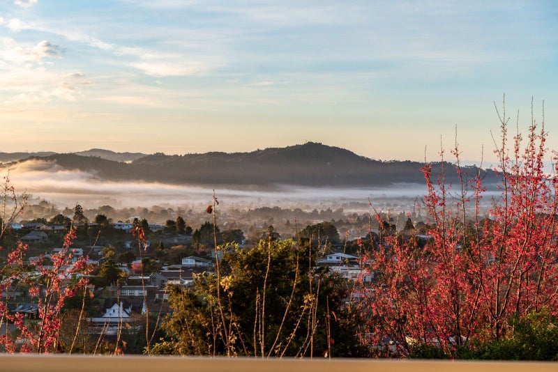 16 Louisa Lane, Kamo, Whangarei - Carousel 2