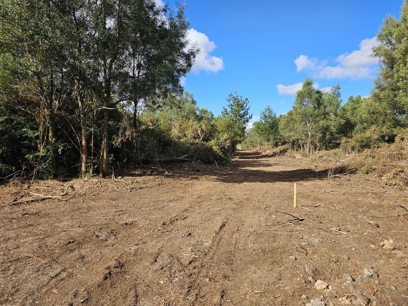 6129 Mangakahia Road - Carousel 11