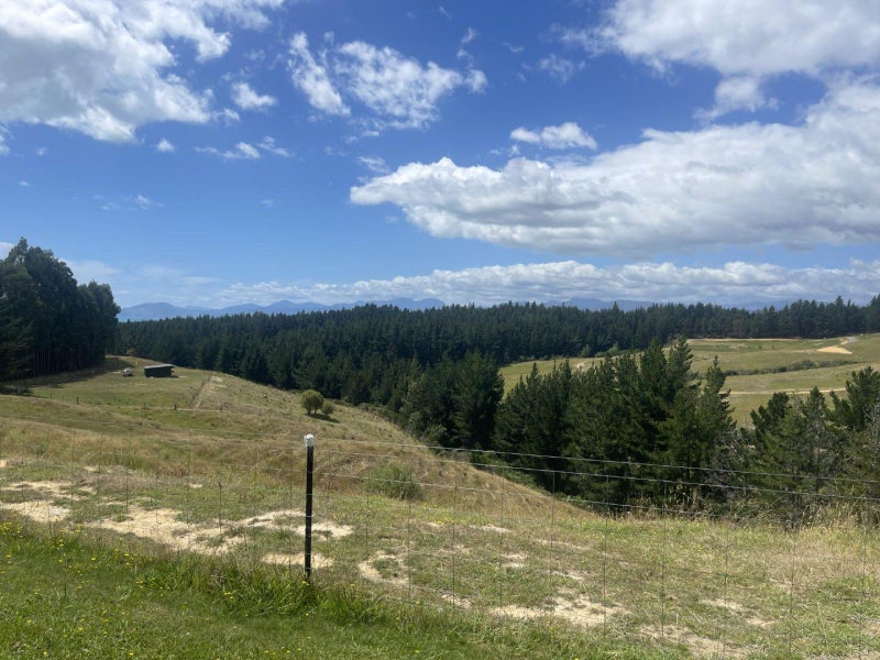 170 Old Coach Road, Mahana, Upper Moutere - Carousel 5