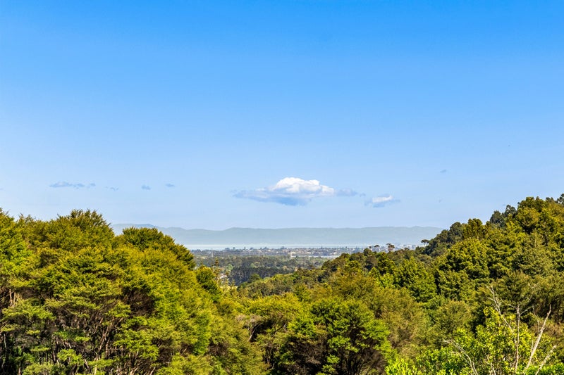 78 Judge Richardson Drive, Papakura - Carousel 2