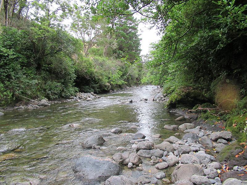 63 Mount Holdsworth Road, Mount Holdsworth, Carterton - Carousel 2