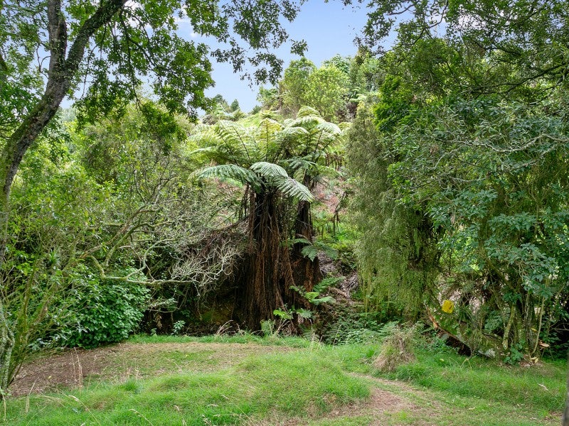 82 Tirohanga Road, Rotoorangi, Cambridge - Carousel 19