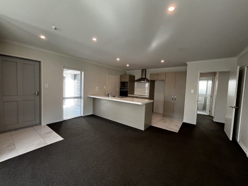 48 Berwick Street, St. Albans, Christchurch City, Canterbury - Carousel 2