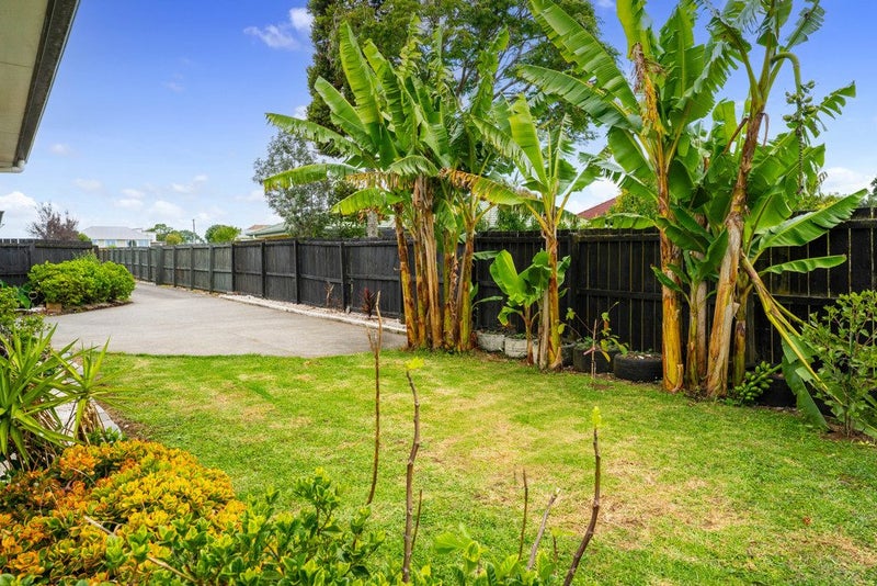 14E Church Street, Tuakau - Carousel 2