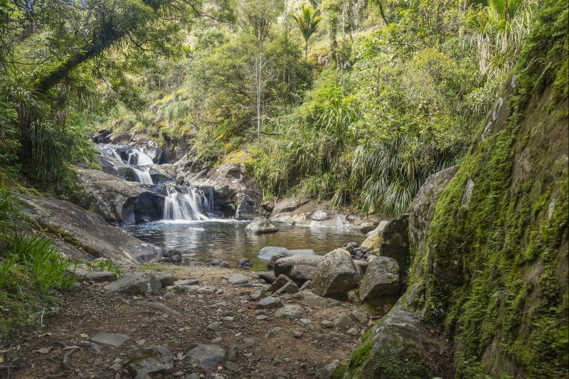 586 Tapu Coroglen Road, Tapu, Thames-Coromandel, Waikato - Carousel 1