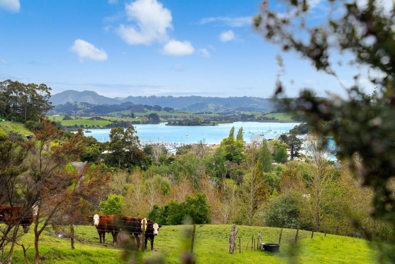 28 Brick Bay Drive, Sandspit, Warkworth - Carousel 2