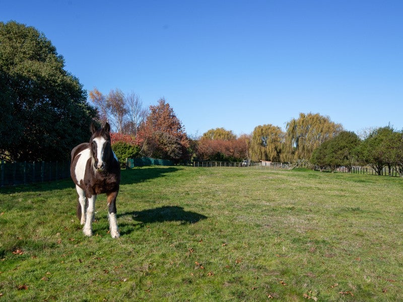 135 Brunswick Drive, Tikitere, Rotorua - Carousel 2
