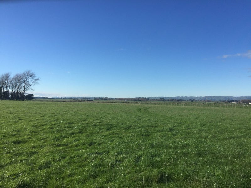 Property Valuation for 195 Park Road, Parkvale, Carterton Trade Me