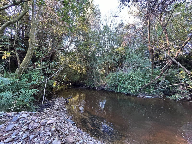 395F Rutherglen Road, Marsden, Greymouth - Carousel 7